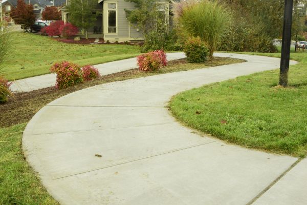 Cost of Concrete Sidewalk Replacement in Silver Spring