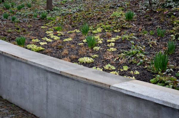 Concrete Wall Construction in Silver Spring