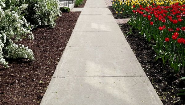 Cement Sidewalk Installation in Silver Spring