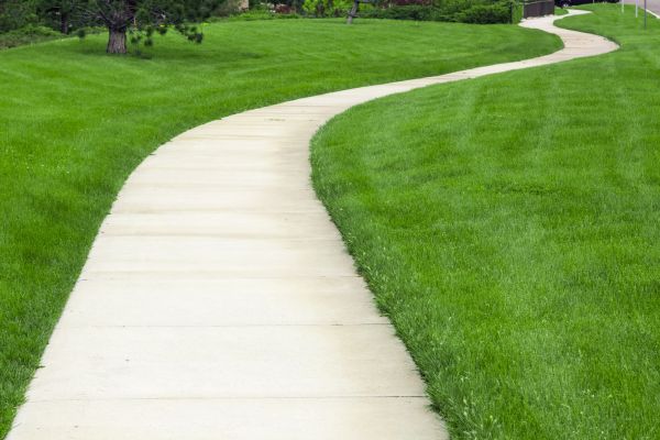 Cost of Sidewalk Paving in Silver Spring
