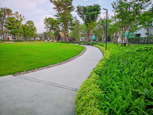 Cement Walkway Service in Silver Spring