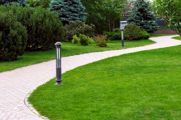 Backyard Sidewalk Installation in Silver Spring