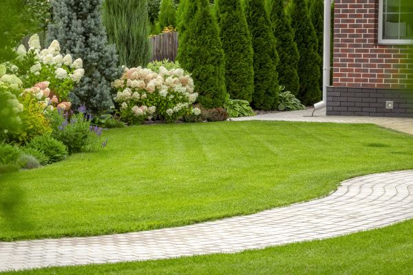 Landscape Walkway Installation in Silver Spring